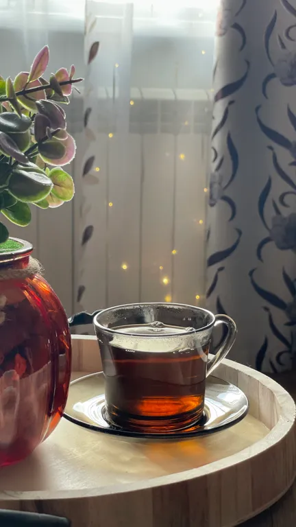 Рыжий Кот возле Парка