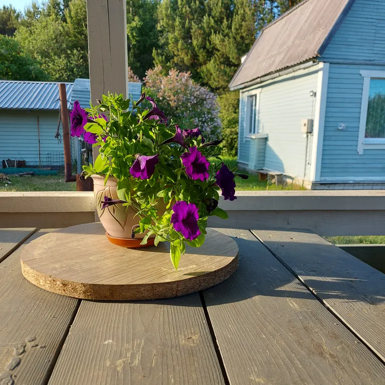 Деревенский дом