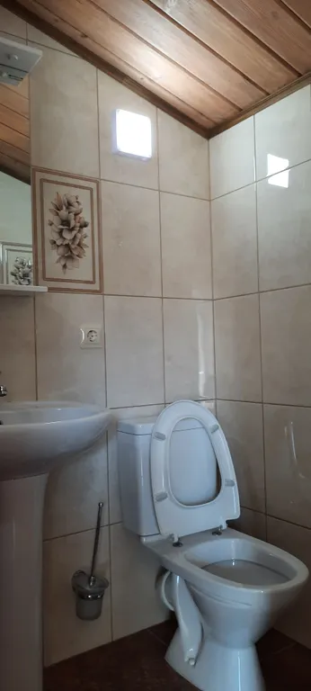 Белый Какаду