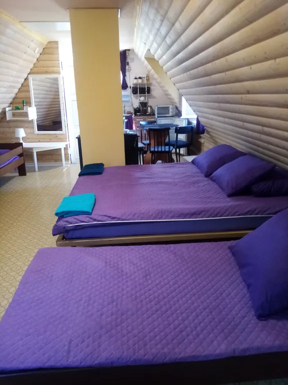 Коттедж Домик с отдельным входом и красивым видом из окна со всеми удобствами — аренда посуточно в Сортавала