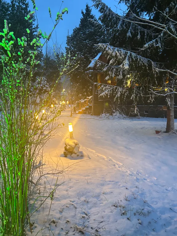 Коттедж Дом в окружении леса с камином, баня с купелью, зона барбекю — Троице-Лобаново