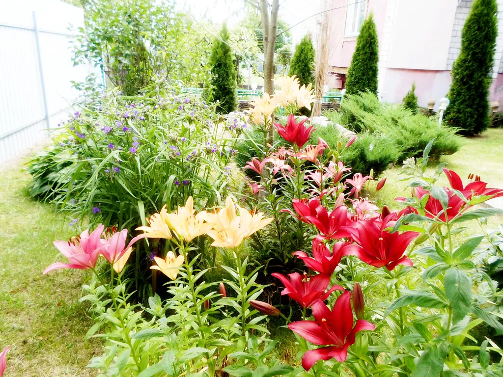 2-комнатный Дом