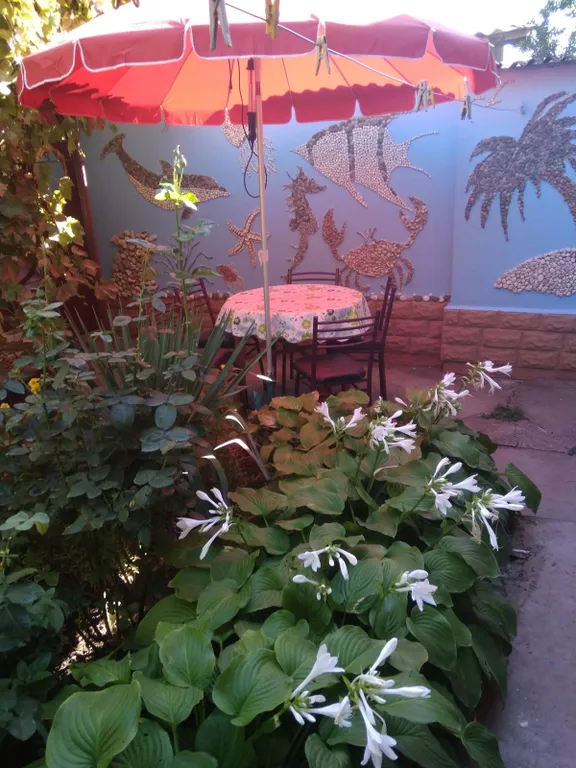 Комната в зелёном дворе