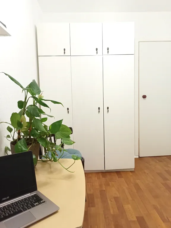 3-комнатная квартира с новым ремонтом в тихом районе