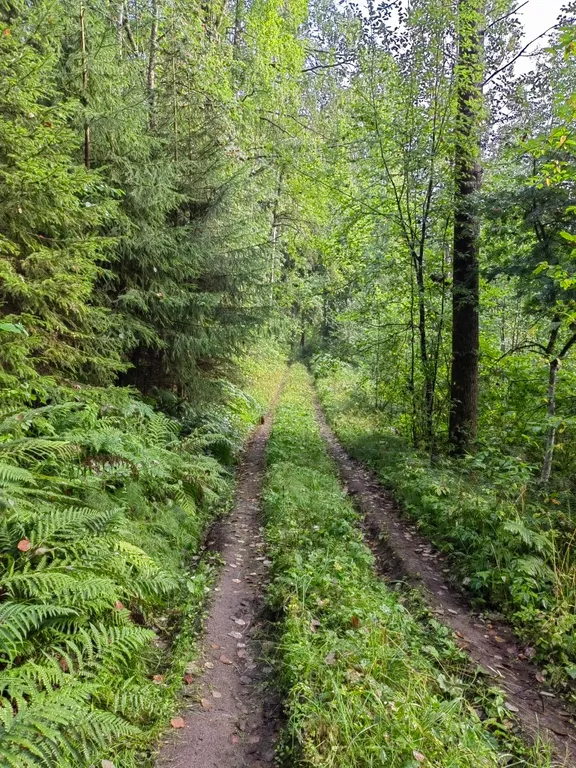 Рыбацкий хуторок