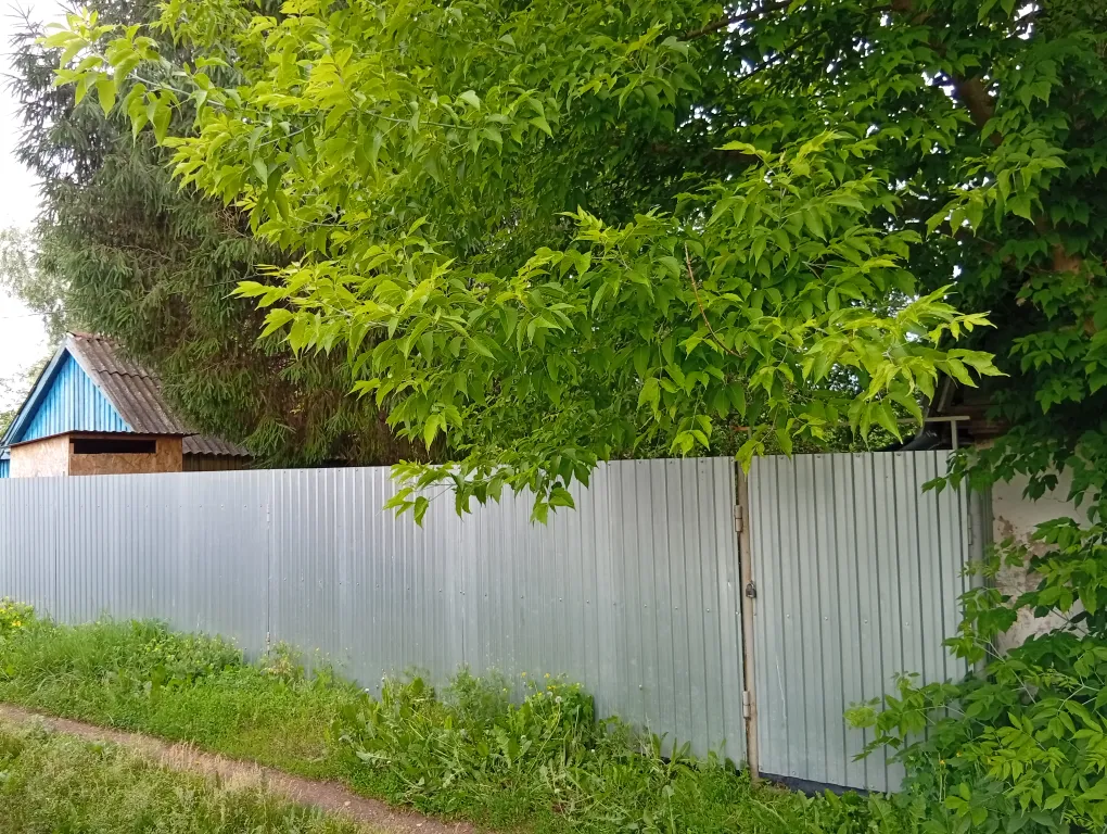 База Акапулько на озерце