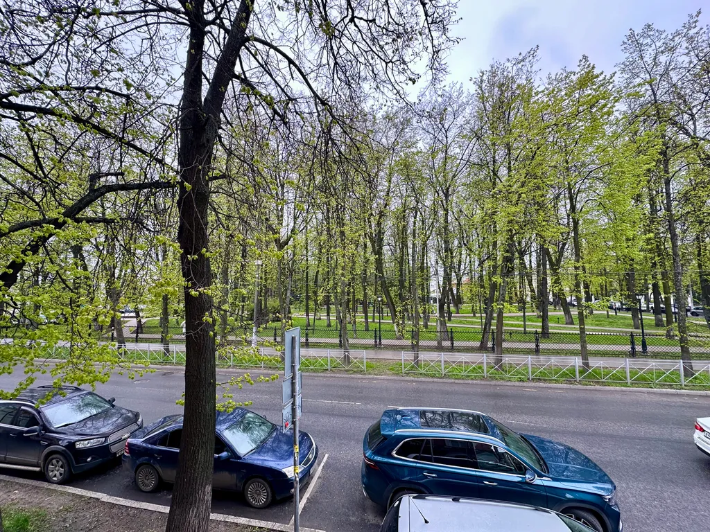 Большая квартира в самом центре города с видом на Власьевский сад