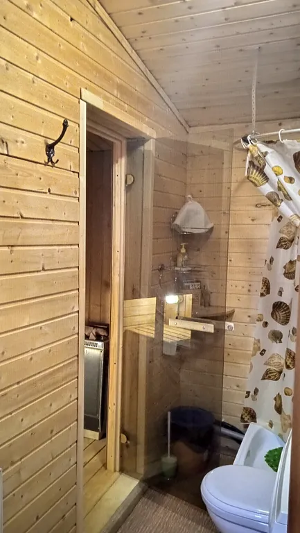 Охотничий дом с медведем на Ладоге