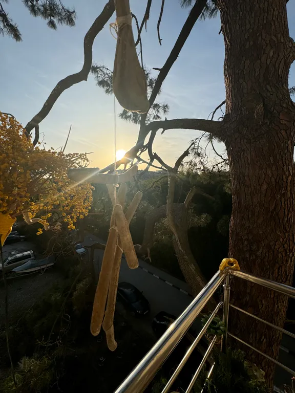 Квартира Квартира Студия с видом на сосну в бамбуковой роще — Сириус