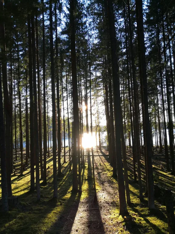 Дом на Селигере