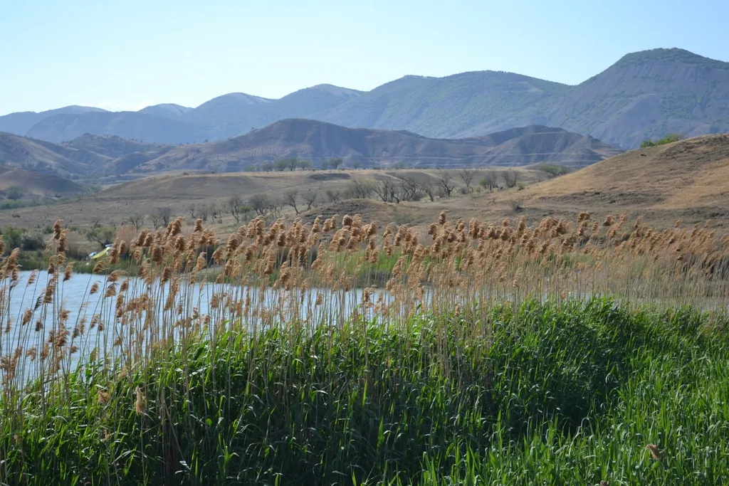 Уютный коттедж с бассейном с морской водой
