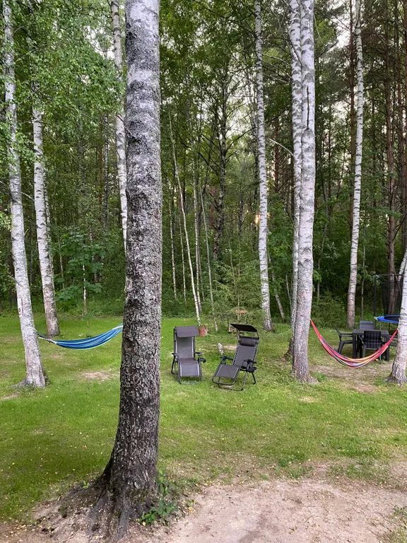 Уютный домик в лесу около реки