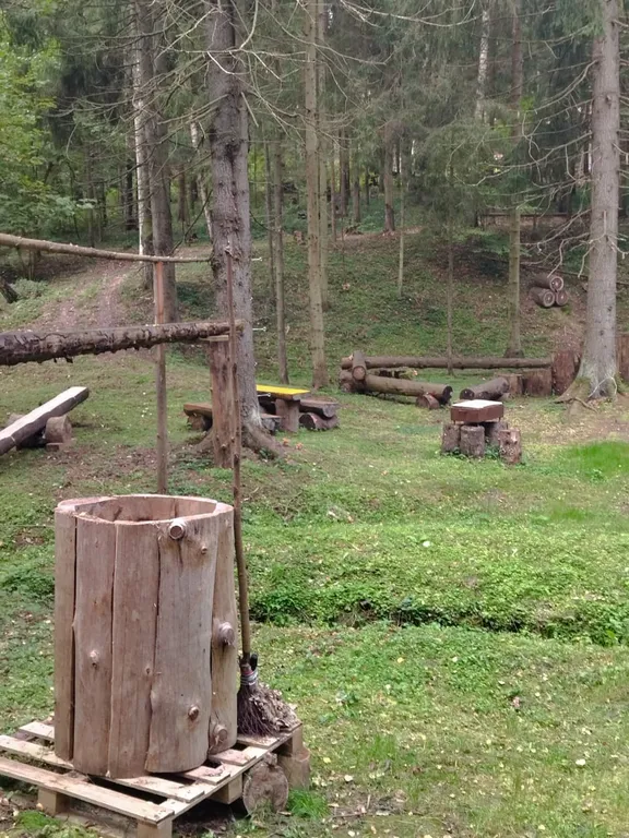 Коттедж Уютный дом в окружении векового леса — Рогачево