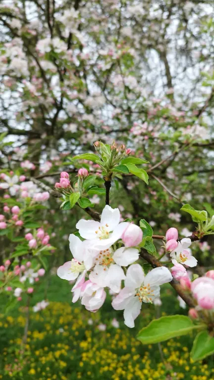 Дом-дача в горах с русской печкой, рядом с речкой и видом на горы