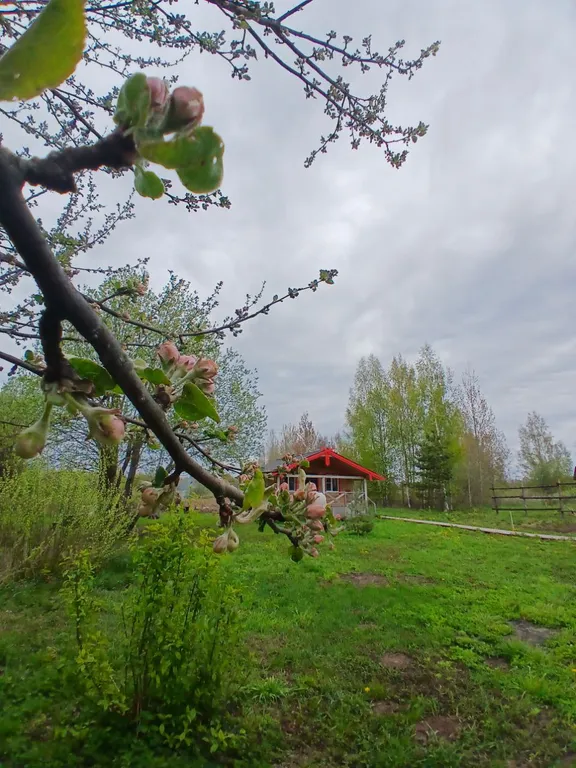 Дом в сердце русской деревни