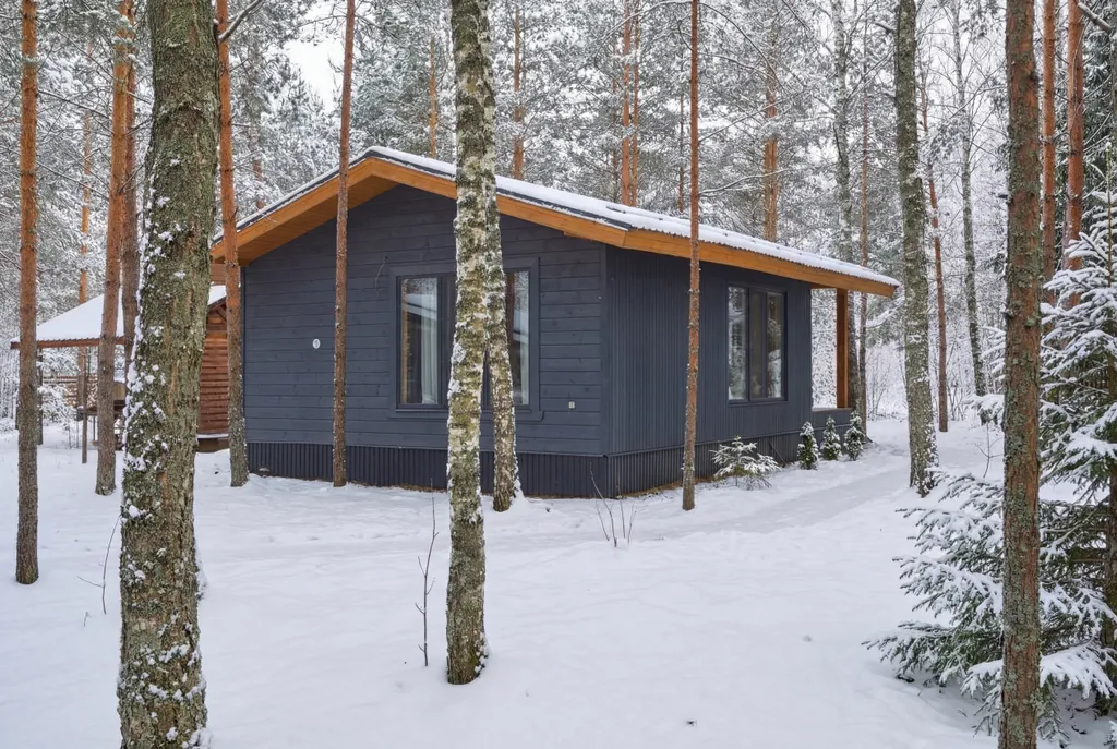 Домик 12 BarnHouse без купели