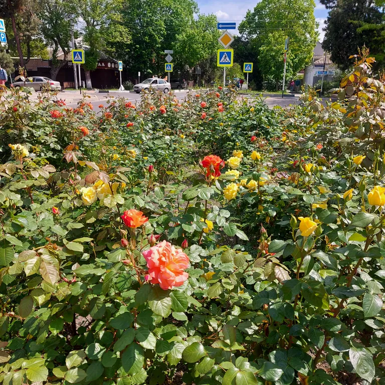 Квартира Квартира Студия с видом на море рядом с парком — Анапа