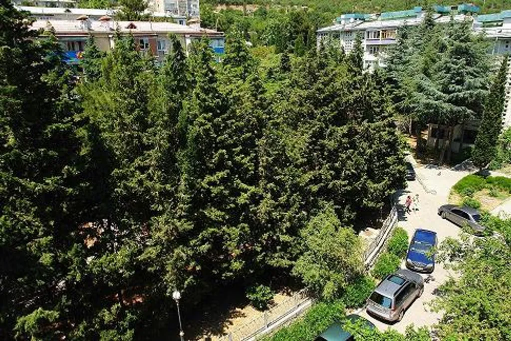 квартира с видом на море и горы