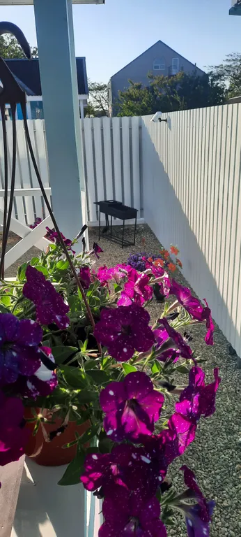 Коттедж Дом со своим отдельным двором — Кучугуры