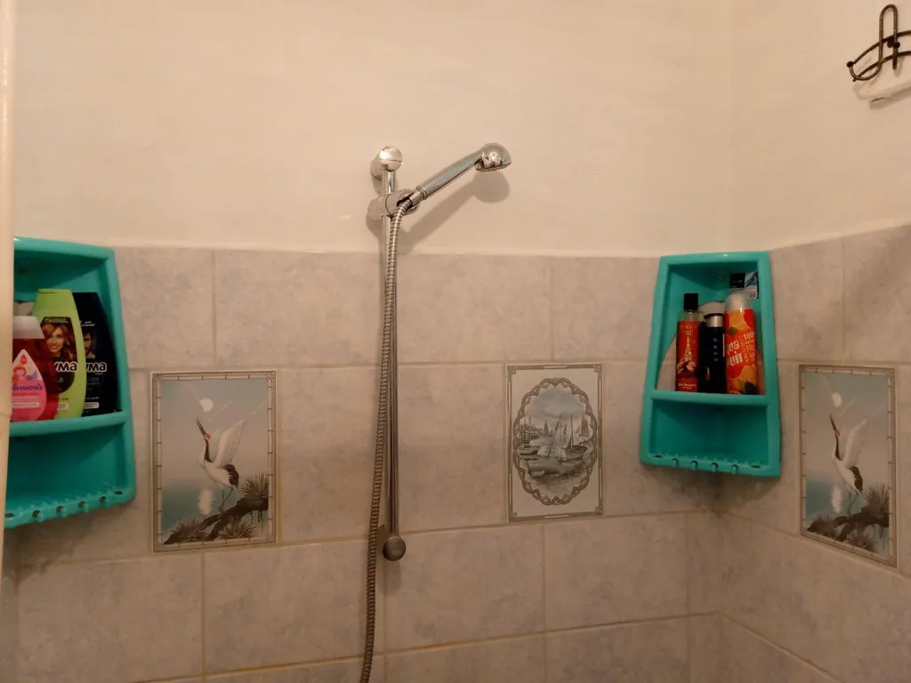 Пальмовая ветвь