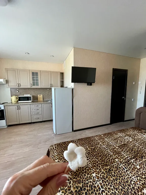 Маленькая дружелюбная студия