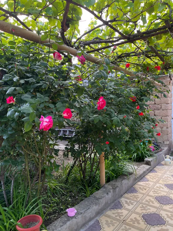 Уютный дом в городе