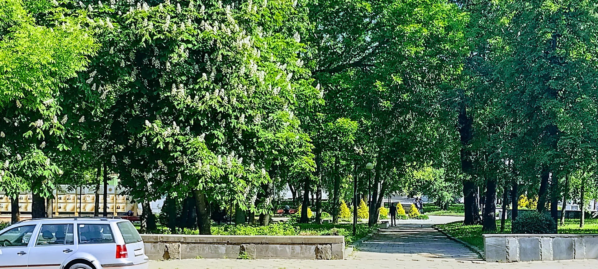 Парк имени Ленина напротив дома 