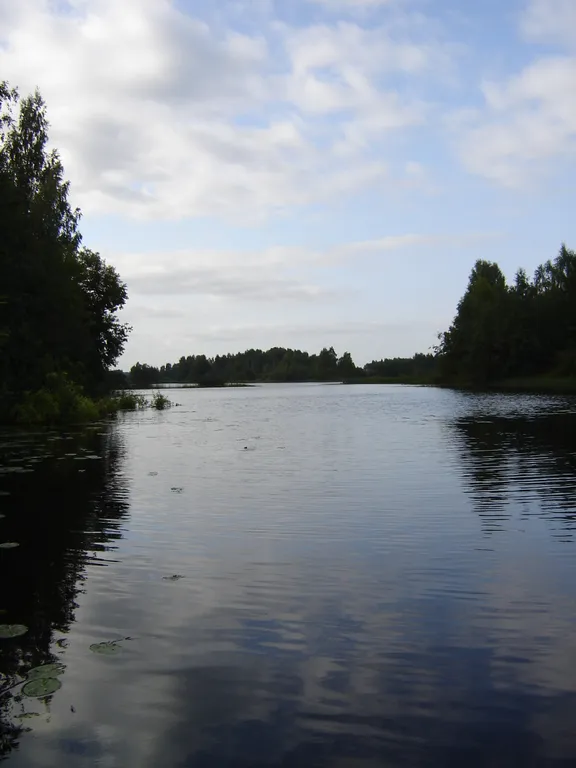 Уютный коттедж у реки