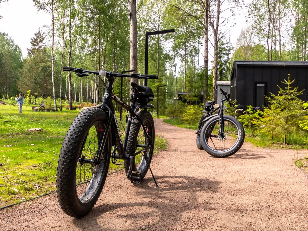 Коттедж Дом в лесу с купелью фурако и мангальной зоной (до 4-х чел) — Глубокое (Каменногорское г/п)