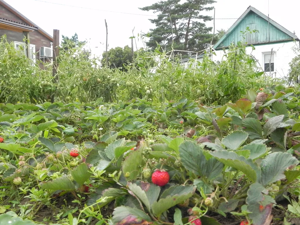 Коттедж Уютный деревенский домик — Волгоград