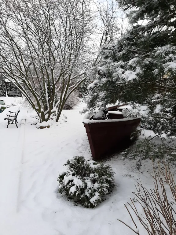 Дом на Куршской косе