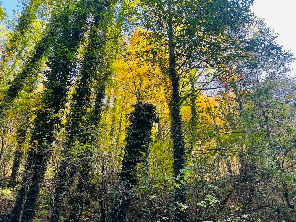 Номер люкс с видом на горы и всегда теплым бассейном