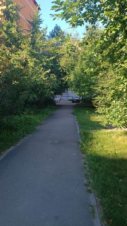 Уютная двухкомнатная квартира семейного типа в центре Белокурихи