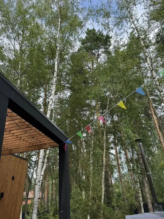 Стильный уютный дoм c бaней в cocновoм лecу