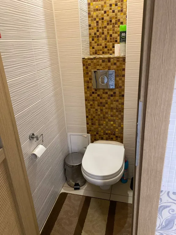 Пятикомнатная квартира с сауной и кинотеатром в центре