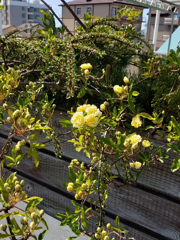 2-х комнатная квартира студия 45кв.м