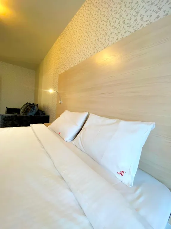 Апартаменты Петровские на Советской 90 №14