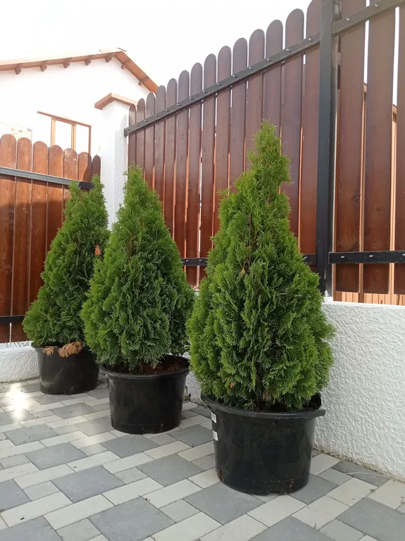 6-комнатный Дом