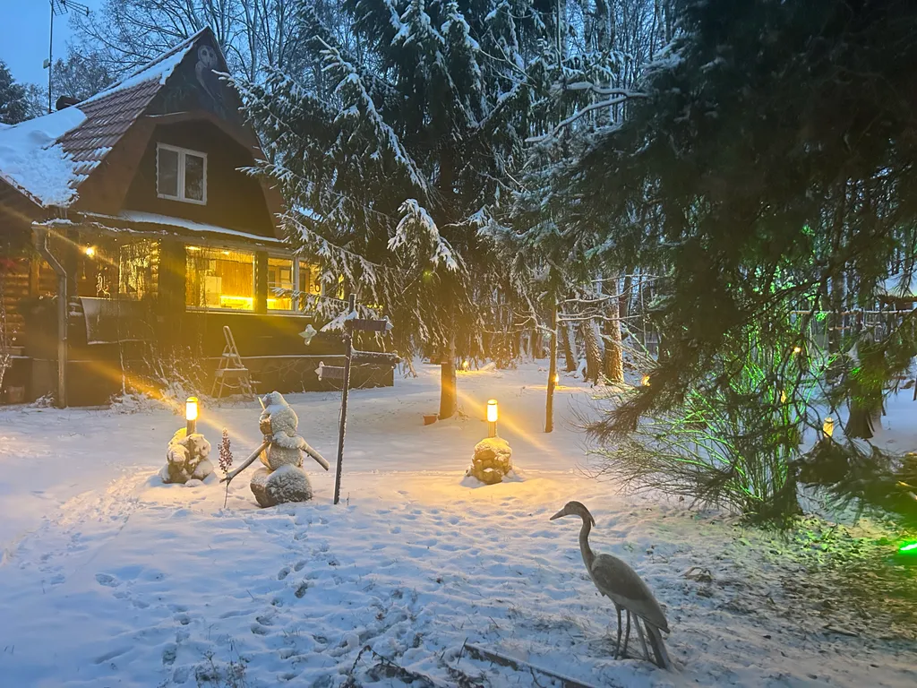 Коттедж Дом в окружении леса с камином, баня с купелью, зона барбекю — Троице-Лобаново