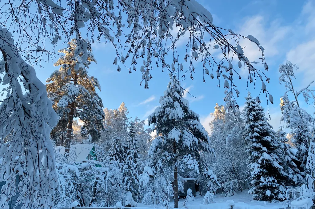 Келлио Хаус (Kelliö-House)