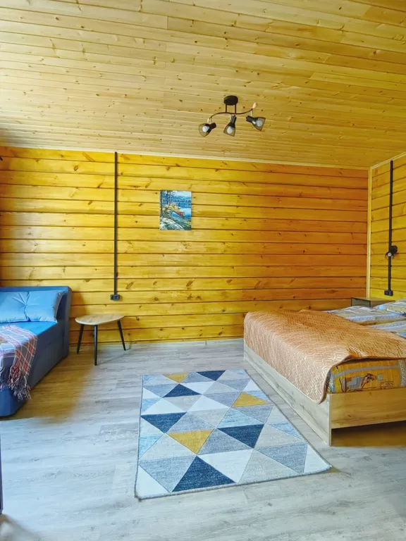 Эко вилла панорамная