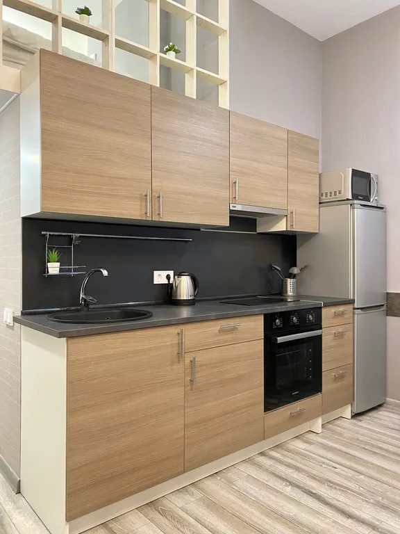 Уникальные апартаменты с выходом на кровлю ТЦ Галерея