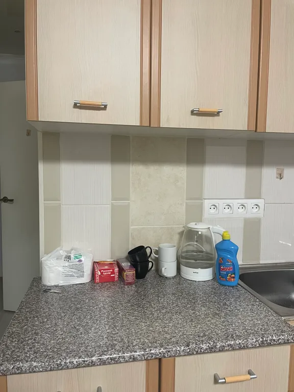 Студия в Лопатино