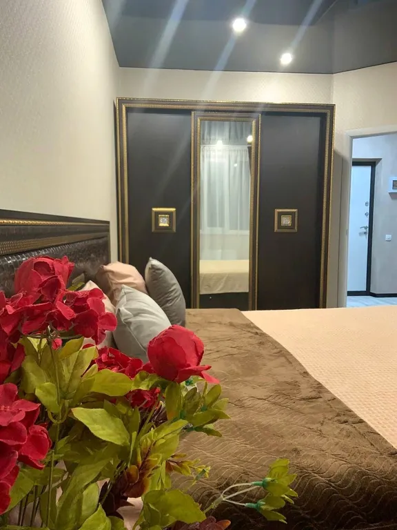 Уютные апартаменты