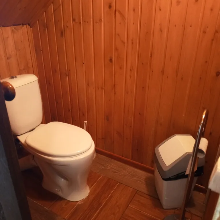 Дом с баней