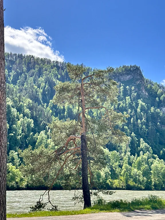 Новый круглогодичный 3-й коттедж на берегу Катуни