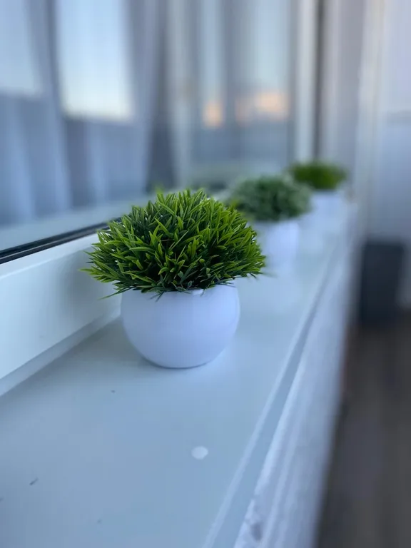 Уютная квартира рядом с морем