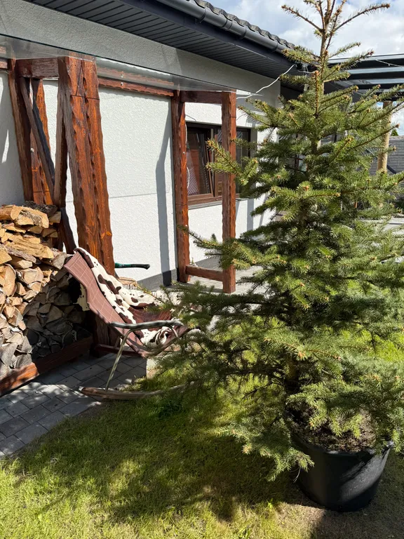 Коттедж белая береза