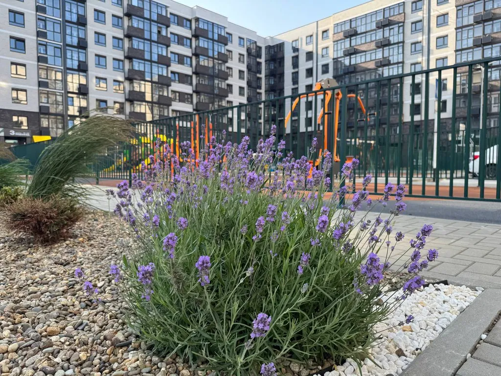 Квартира Уютная квартира в новом доме — Темрюк