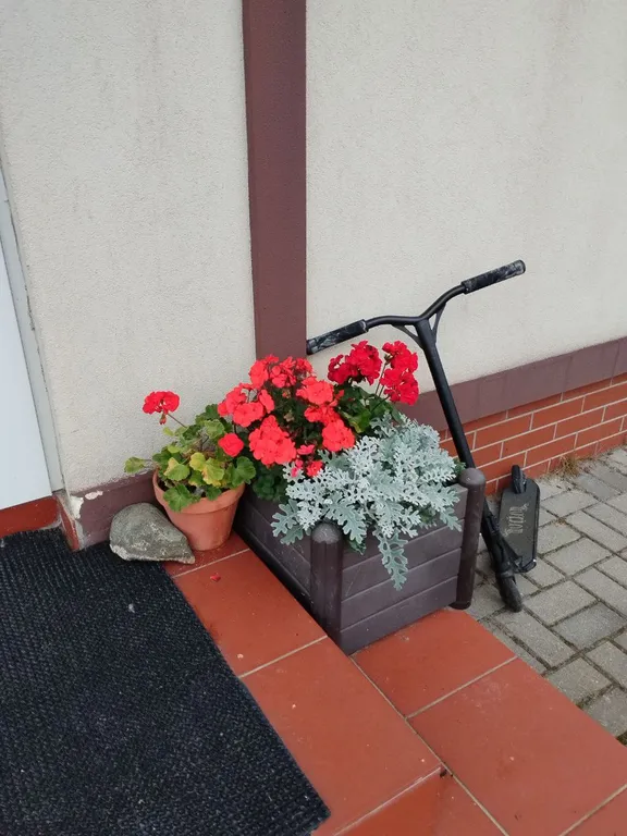 Дом на побережье Балтики